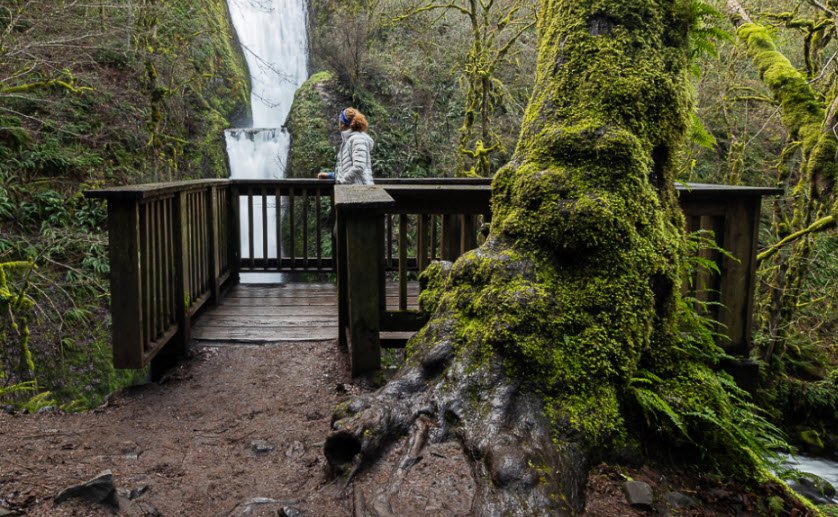 Bridal Veil Falls State Scenic Viewpoint, Oregon, USA